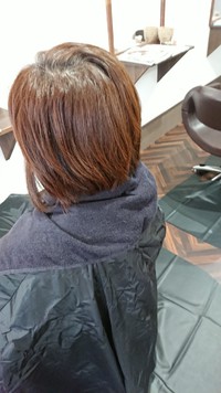 ￥２９００　すぐに気になる．．． 2019/03/03 06:23:35