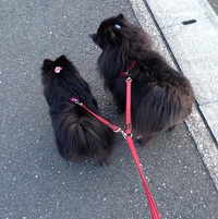 ご無沙汰で。。。 2013/04/29 17:19:25