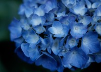 Koi Koi〜付き合うなら「いい人」よりも「いい男」。その決定的な8つの差って？〜スタッフblog vol.44 2018/06/09 10:00:00