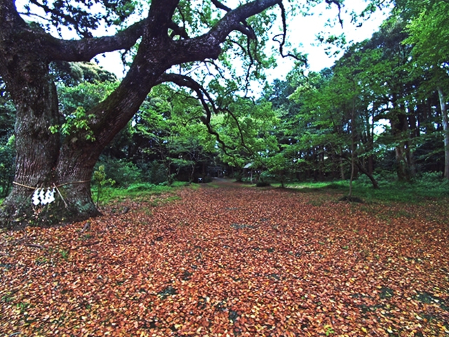 曽許乃御立神社