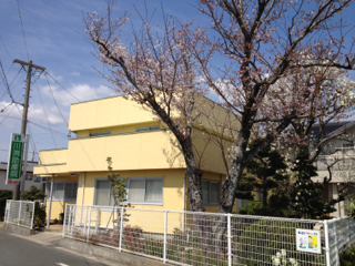 春がきました