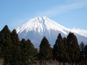 朝霧FDGへ行ってきました