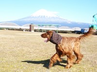 河川敷 2008/02/13 13:08:11
