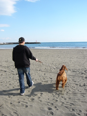 相模湖と湘南