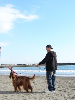 相模湖と湘南