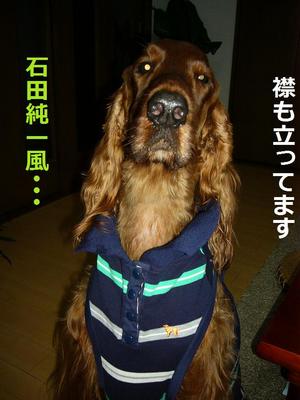 相模湖と湘南