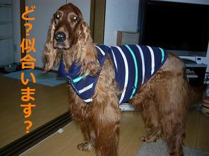相模湖と湘南