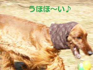相模湖と湘南