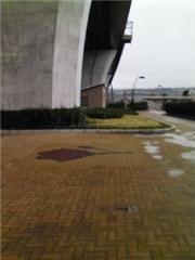 雨の日のお散歩