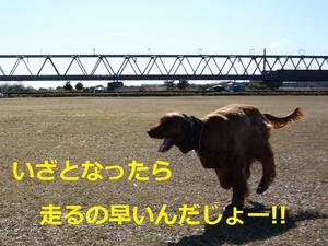 Happy Valentine