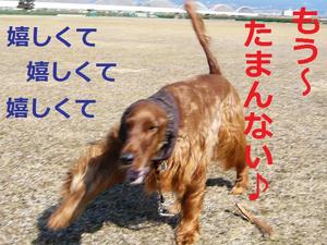 Happy Valentine