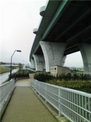雨の日のお散歩