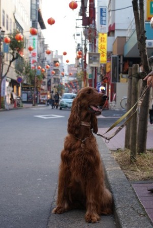 横浜へ！！