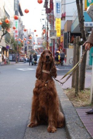 横浜へ！！