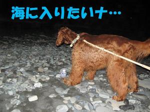 夜の海