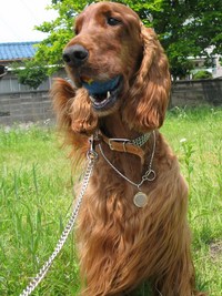 ﾊﾞｶなやつ 2008/05/24 10:25:57