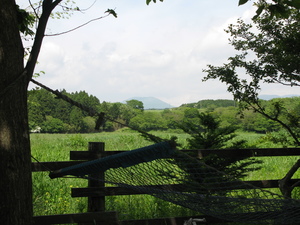 ｷｬﾝﾌﾟへ行きました(2日目)