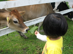 ｷｬﾝﾌﾟへ行きました(2日目)