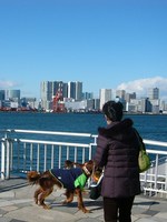 東京ﾋﾞｯｸｻｲﾄへ