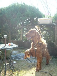 昨日は… 2007/12/21 11:48:10