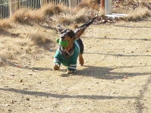 ﾗﾝで爆走~♪