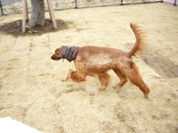 今日の出来事～ 2008/01/14 14:33:16
