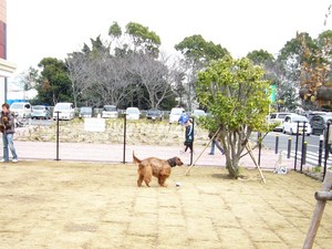 今日の出来事～