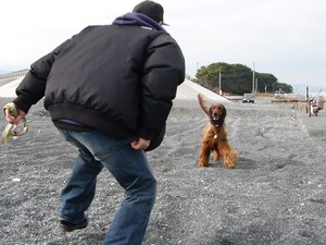 今日の出来事～
