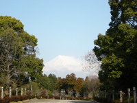 お散歩とﾄﾞﾗｲﾌﾞ 2008/01/17 12:08:27
