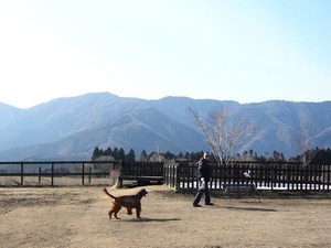 朝霧FDGへ行ってきました