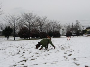 雪で～す
