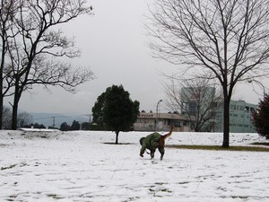 雪で～す
