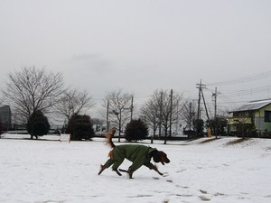 雪で～す