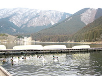 湖と滝ﾂｱｰ 2008/01/26 14:53:15