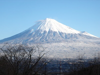 朝のお散歩 2008/02/04 09:45:52
