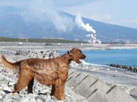 天気がいいから海 2008/02/05 15:33:20