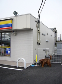 待ちぼうけ 2008/02/06 12:35:18