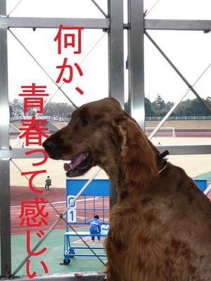 ゆっくり散歩