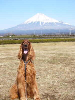 富士山をﾊﾞｯｸに…