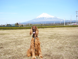 富士山をﾊﾞｯｸに…