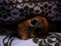 居ない… 2008/02/20 12:15:17
