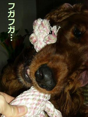 お相手