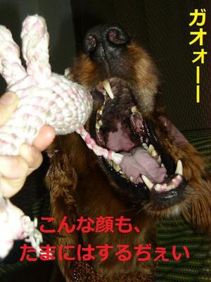 お相手
