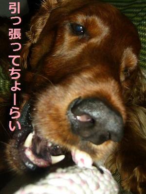 お相手