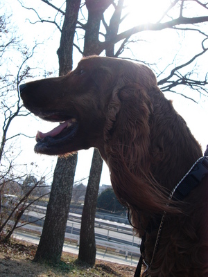 広見公園