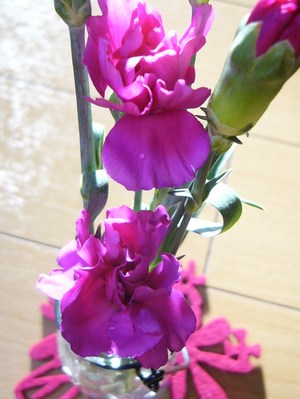 部屋に花を