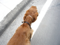 降る前に 2008/02/26 10:13:14