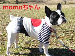 ﾌﾚﾌﾞﾙのmomoﾁｬﾝと