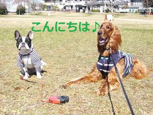ﾌﾚﾌﾞﾙのmomoﾁｬﾝと
