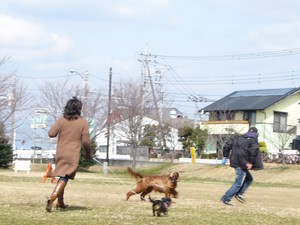 楽しかったね